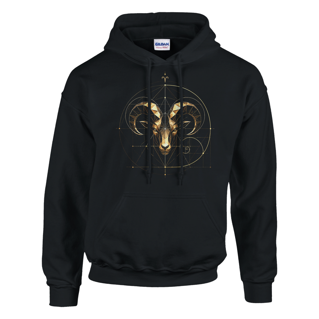 Sudadera negra Aries estilo urbano editorial