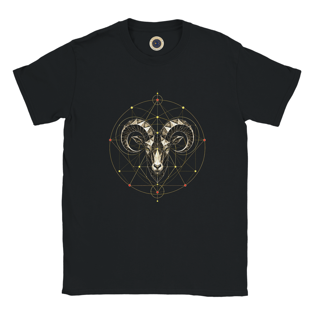 Remera negra Aries estilo urbano minimalista